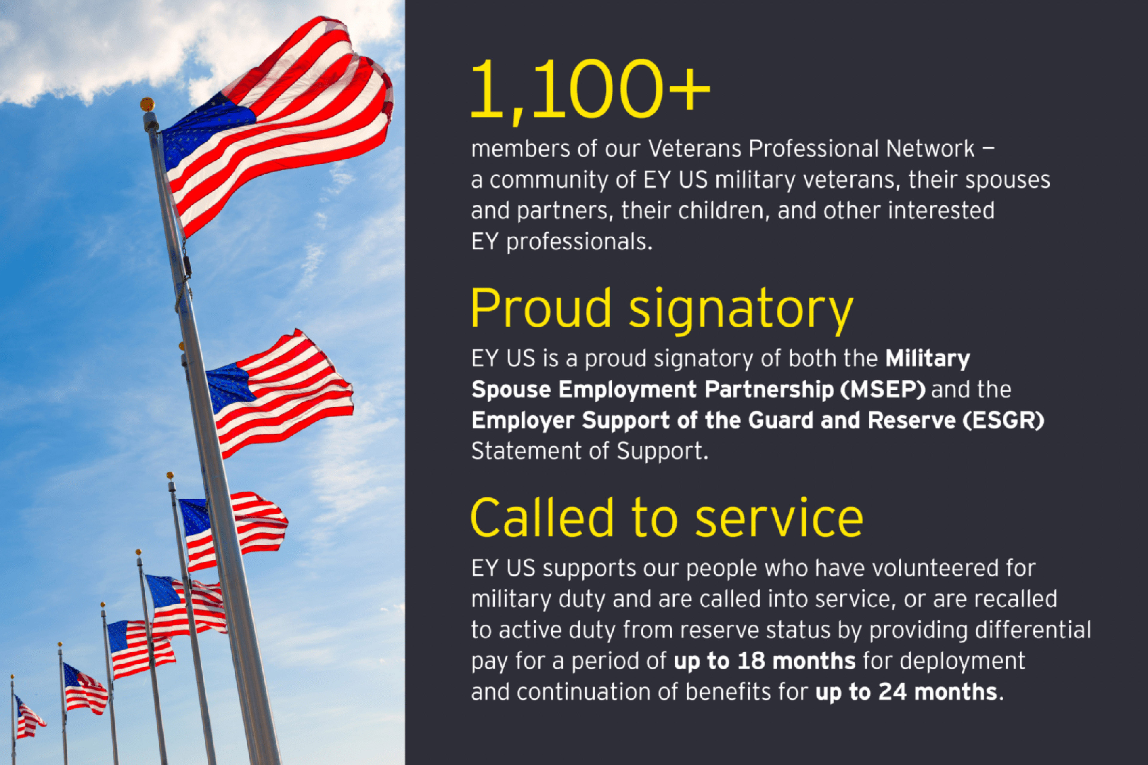 ey-veterans-professional-network
