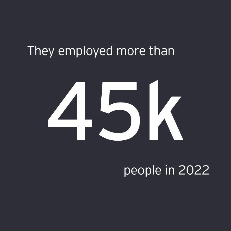 EOY Mountain West finalists employed more than 45,000 people in 2022