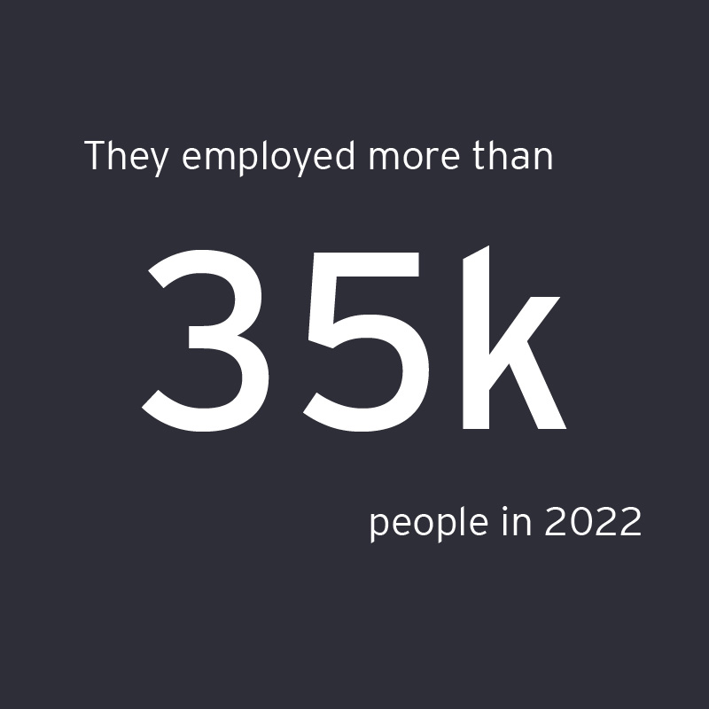 EOY Southeast finalists employed more than 35,000 people in 2022