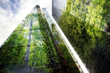 ey-green-forest-reflection-on-modern-skyscrapers.jpg
