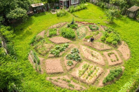 Magical shape allotment garden