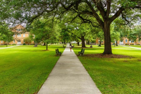 College girl walking on campus