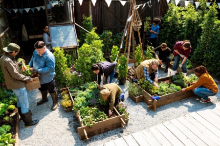 Group of people planting vegetable in greenhouse