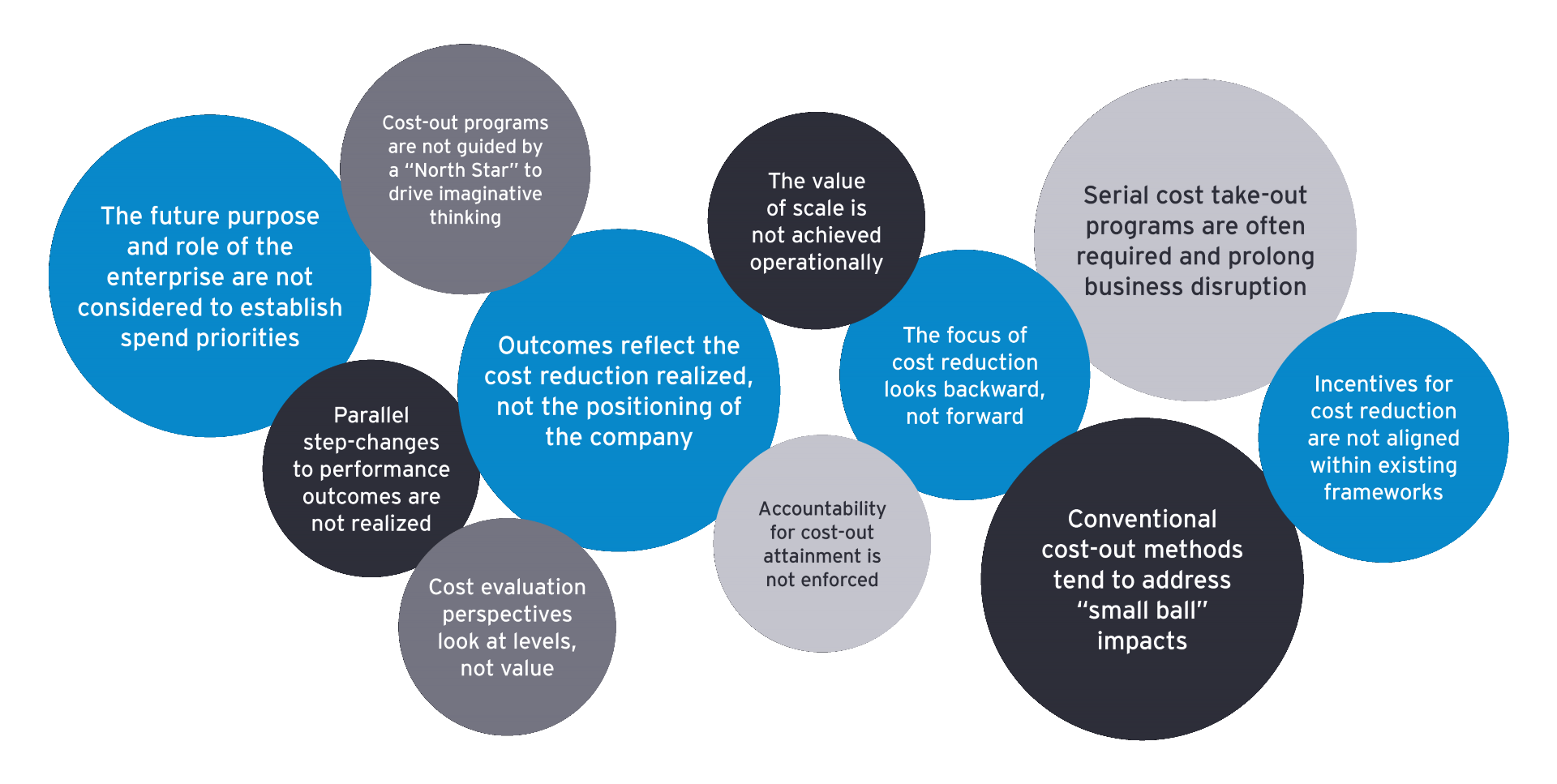 EY industry leardership perspective