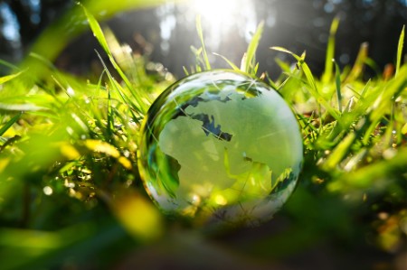 Green glass globe in green grass