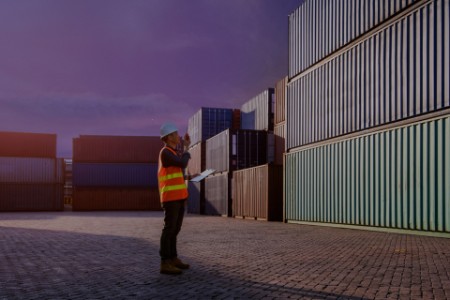 Male inspector checking cargo containers