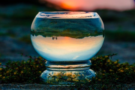EY - Nature-view-through-glass-globe