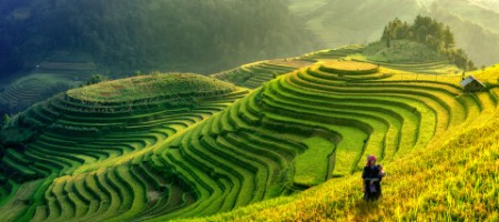 Mu Cang Chai, Vietnam landscape terraced rice field near Sapa