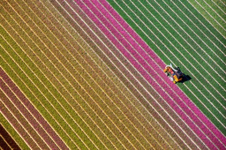 Vista desde arriba de un campo colorido con un tractor
