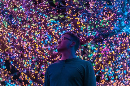Low Angle View Of Man Standing Against Illuminated Trees