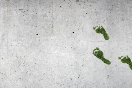 Grønne fotavtrykk på betong