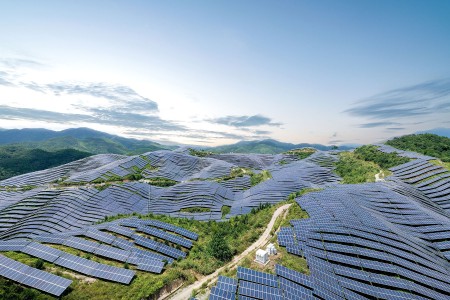 solar panels covering the hillside in china