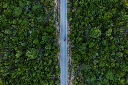Vue aérienne d'une voiture sur une route dans la forêt