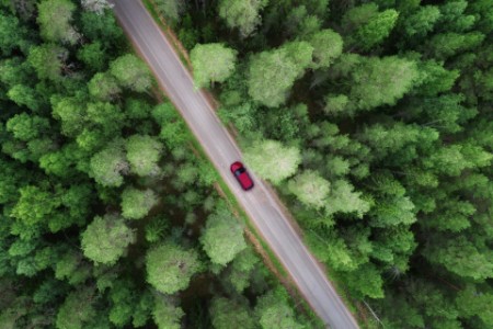 Aerial view of forest with a road