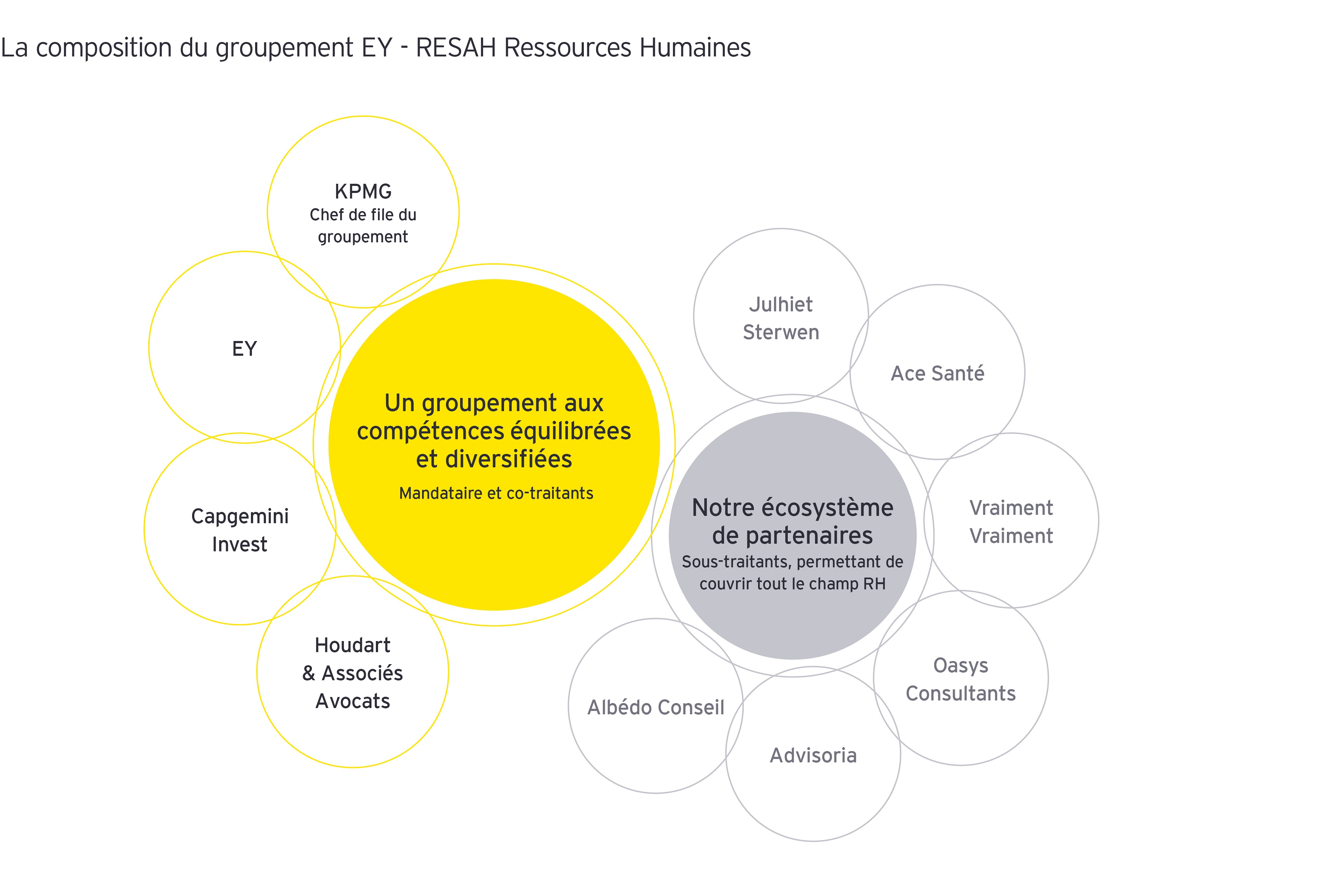 La composition du groupement EY - RESAH Ressources Humaines