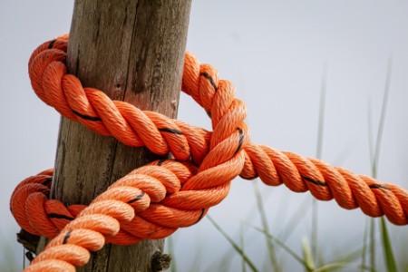orange rope rapped around log