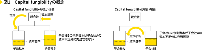 図1　Capital fungibilityの概念