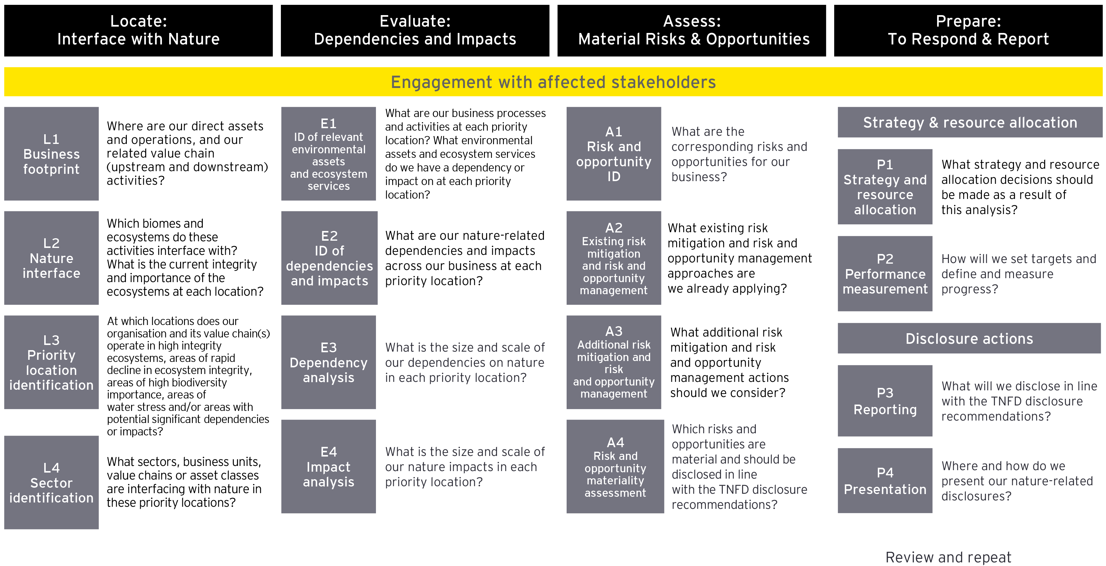 How The TNFD Framework Is Informing DENSO’s Action On Biodiversity