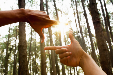 En hånd som peker på en finger foran en skog