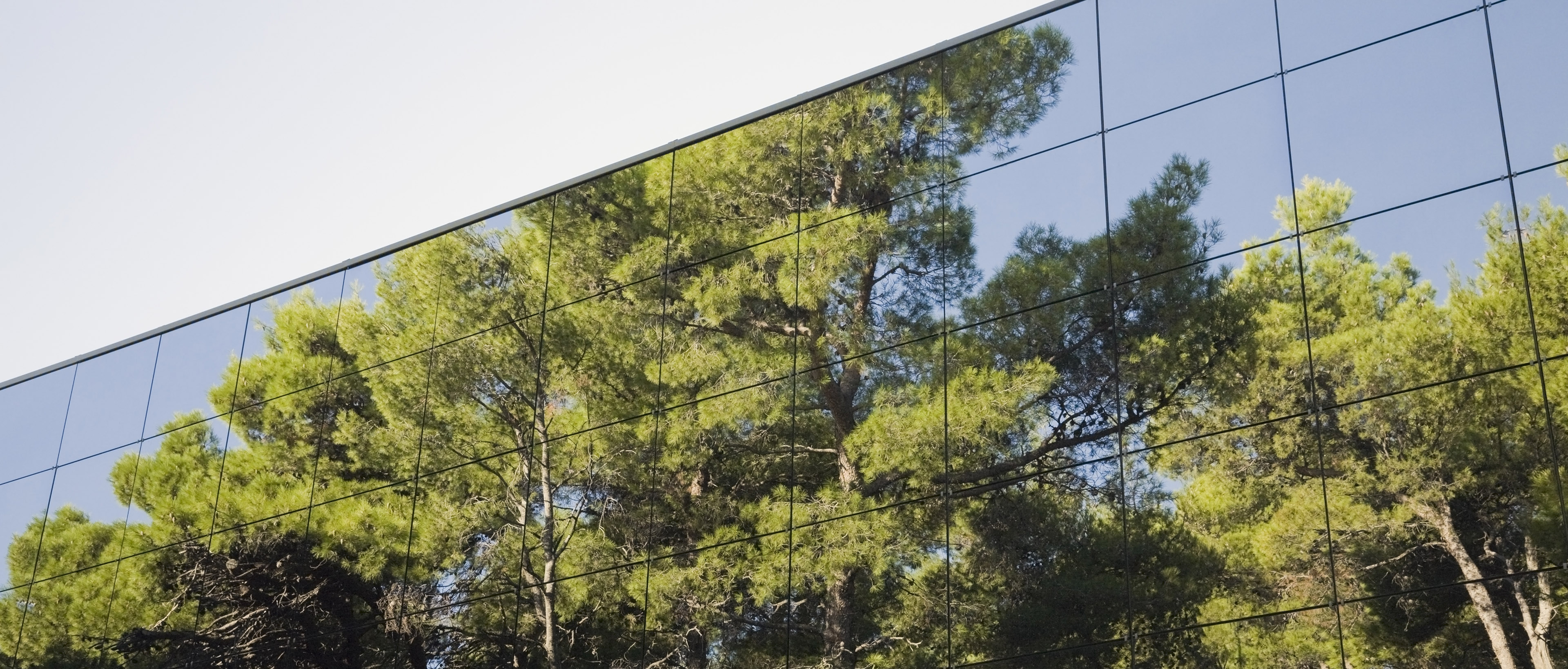 Trær reflektert i moderne glasskledd bygning