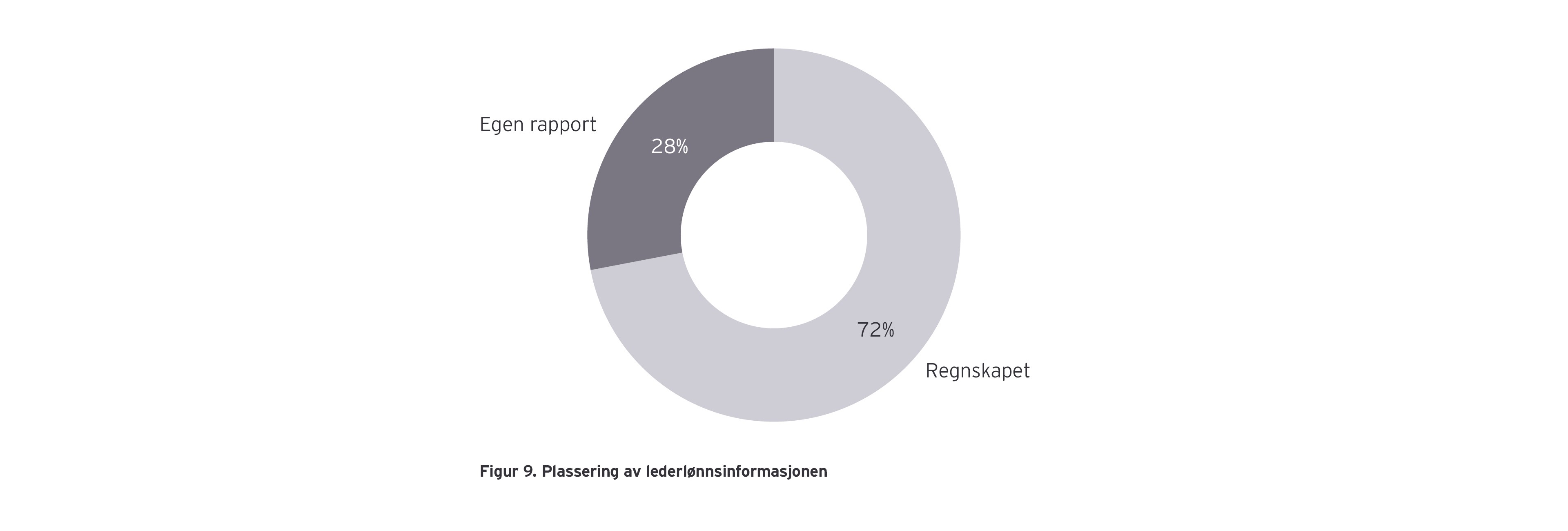 Figur 9 - Plassering av lederlønnsinformasjonen 