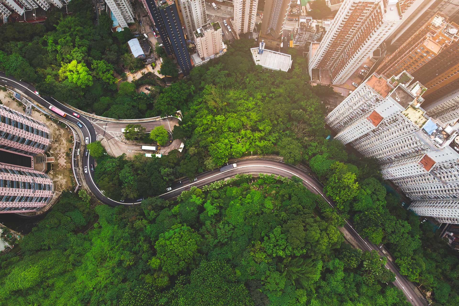 Aerial view of curve road in forest against buildings in Hong Kong