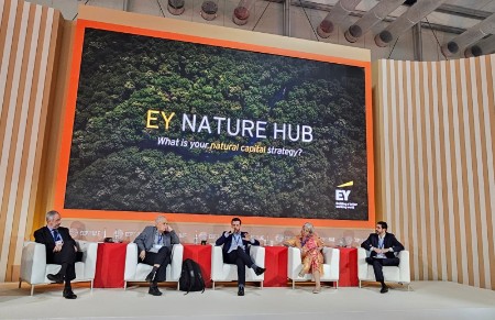 EY debate, na COP28, criação de valor a partir de biomas como a Amazônia