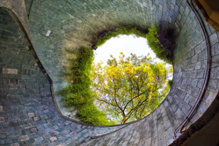 looking up inside Fort Canning Park Tunnel