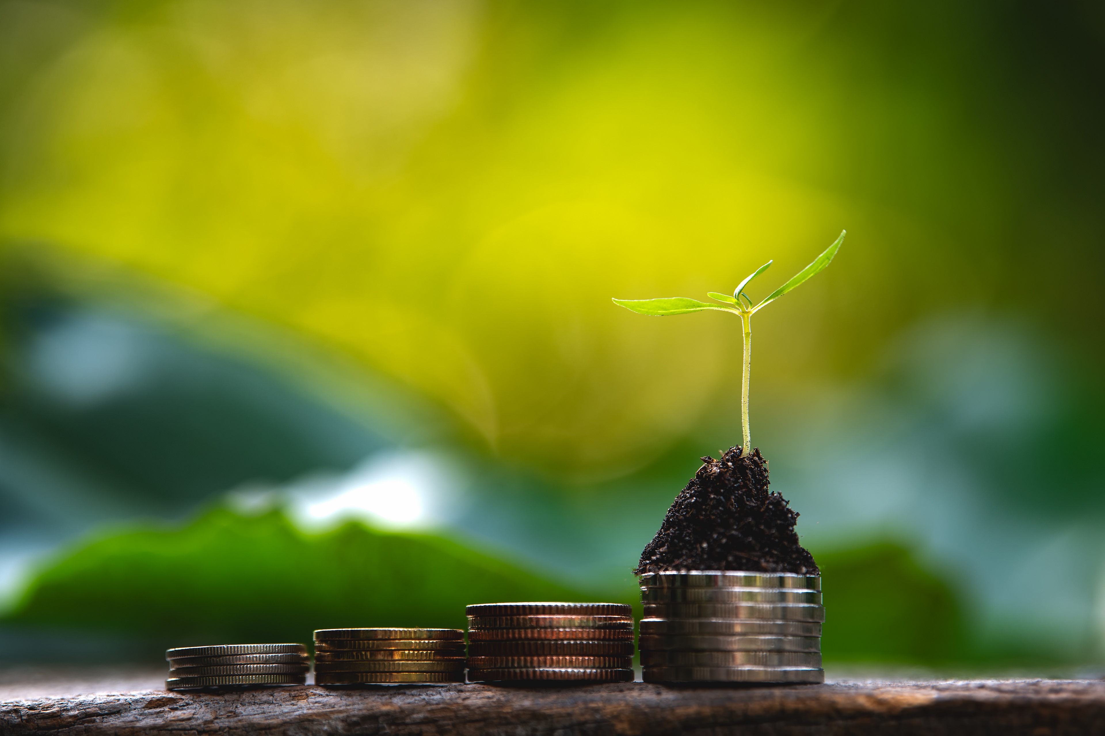 ESG: uma análise das regras da Anbima para fundos de investimento  sustentável e seus gestores - M&A e private equity