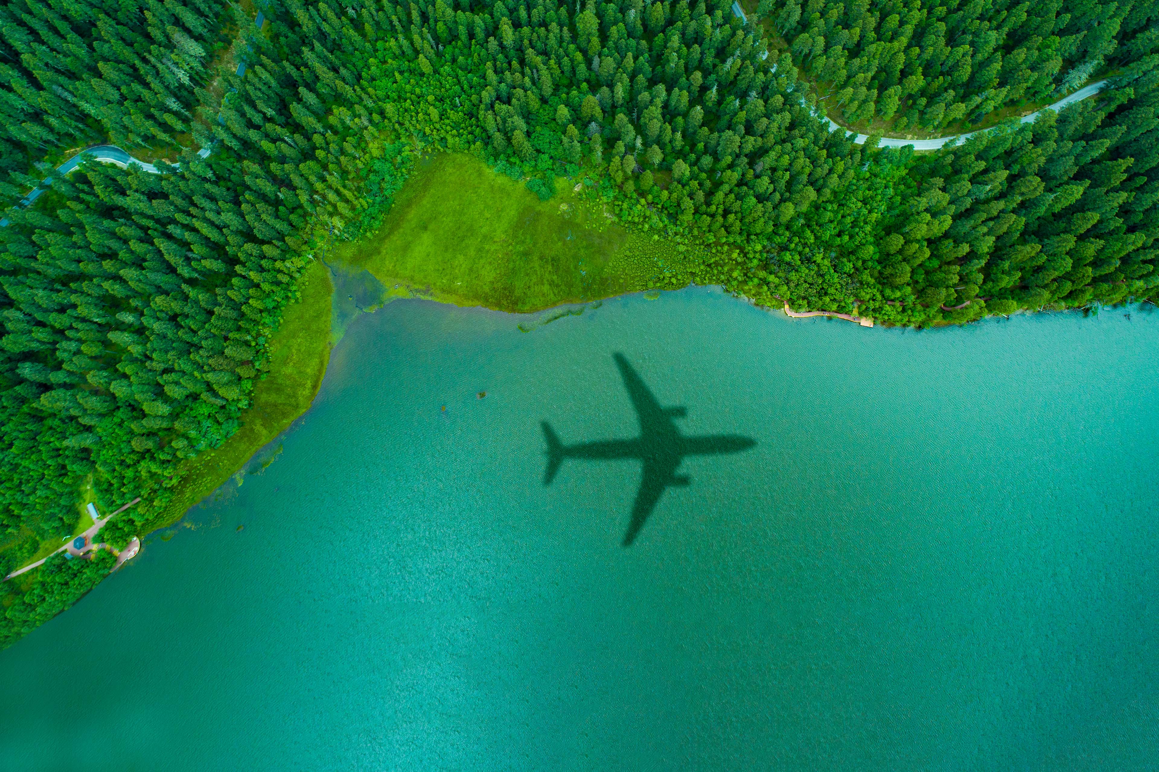 Airplane shadow over an islands forest