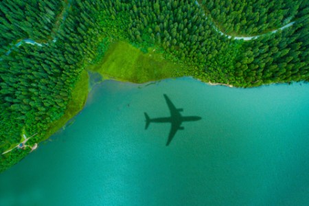 ormanın üstünde uçan uçak