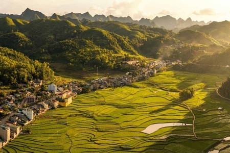 Ngành tài chính ngân hàng đóng vai trò quan trọng trong việc thúc đẩy phát triển bền vững tại Việt Nam